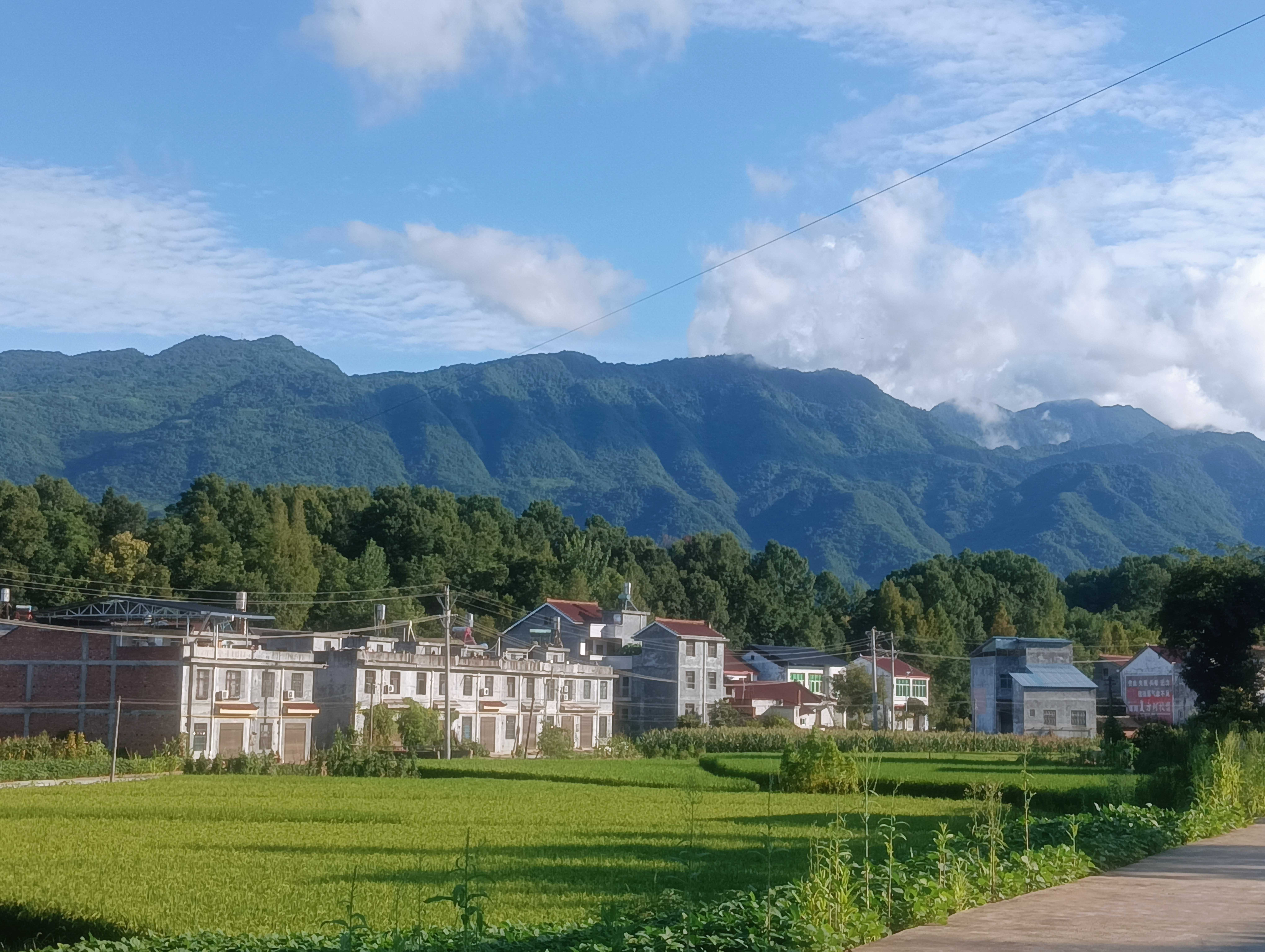 植物景观疗愈摄影大赛：定格自然之美 滋养心灵成长